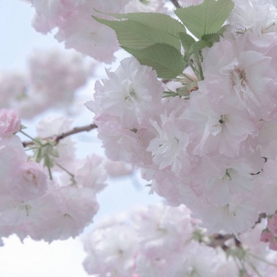 大兴FurryQQ群介绍